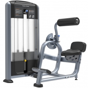 Разгибатель спины Fit-ON FF31