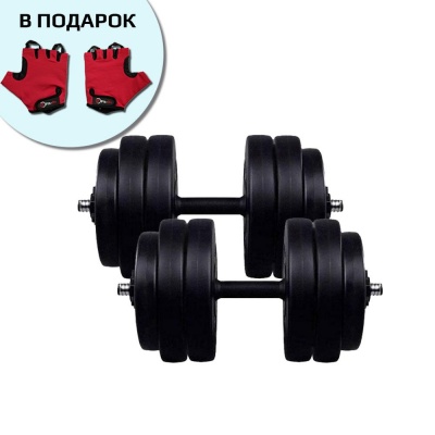 Гантели Fit-On 2x26кг битумные