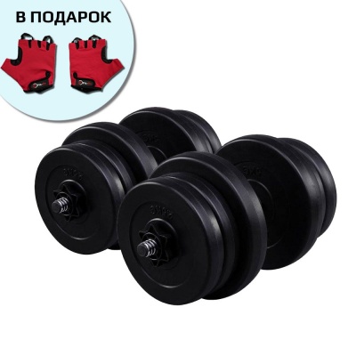 Гантели Fit-On 2x21кг битумные