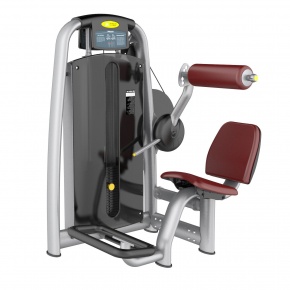 Разгибатель спины Fit-ON AN19