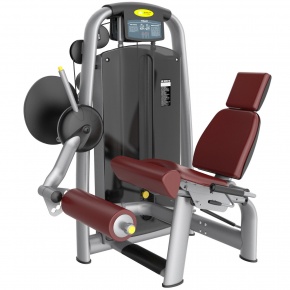 Сгибание и разгибание ног сидя Fit-ON AN27